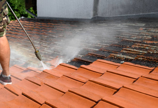 Fence Pressure Washing in West Pensacola, FL