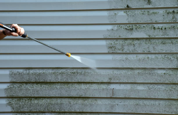 Best Roof Power Washing Services  in West Pensacola, FL