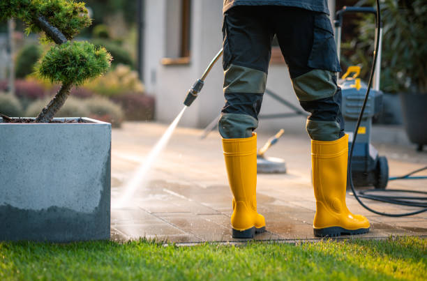 Best Roof Pressure Washing  in West Pensacola, FL